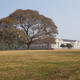 Over a dozen big institutes across Dehradun provided green cover and habitat to a lot of birds. FRI built in 1906 is spread across 2000 acres.
